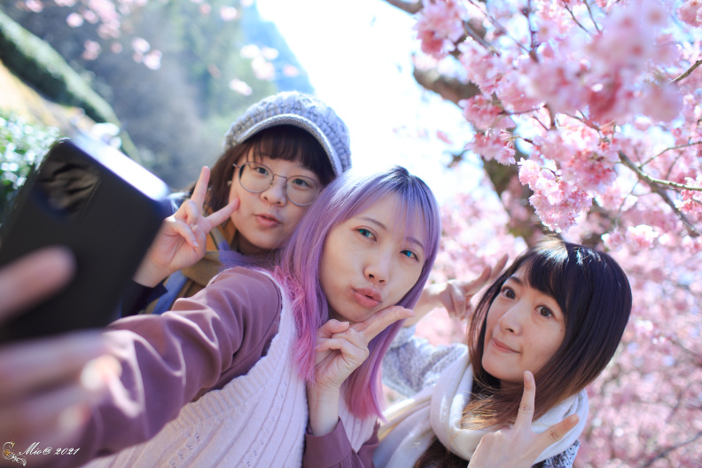 1C2A6683.jpg
